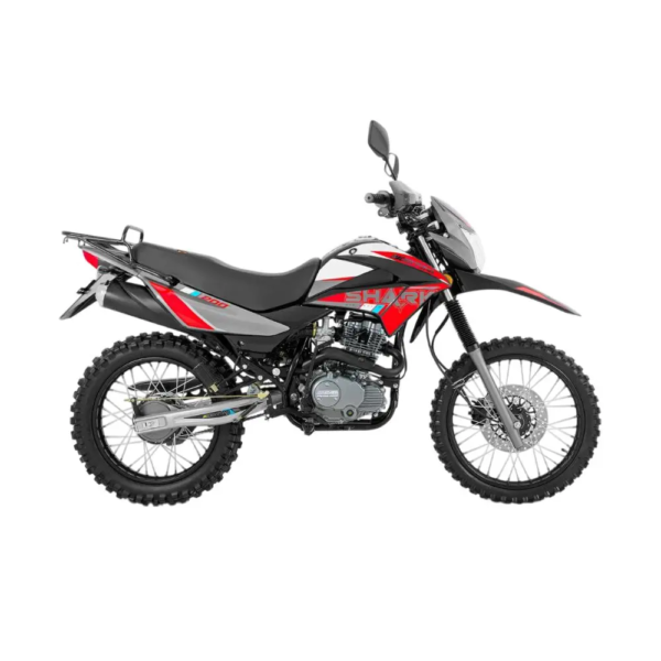 OTO DAYTONA DY200 SHARK