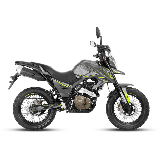 MOTO DAYTONA DY250 TEKKEN EVO - Imagen 2