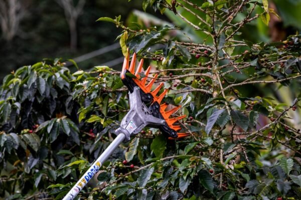 COSECHADORA STIHL KA 85 R