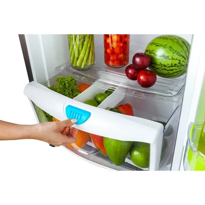 REFRIGERADORA ECOLINE 243 LTS - Imagen 2