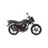 MOTO DAYTONA DY150 PANTHER