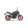 MOTO DAYTONA DY300 SUPER WOLF