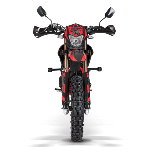 Moto Todoterreno Shineray Steeler 250 (XY250-18D) - Imagen 3