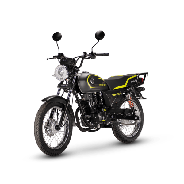 Motocicleta Custom Shineray Iron Max 250 - Imagen 2