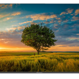 TELEVISOR LED 65" 4K SISTEMA OPERATIVO LG WEBOS